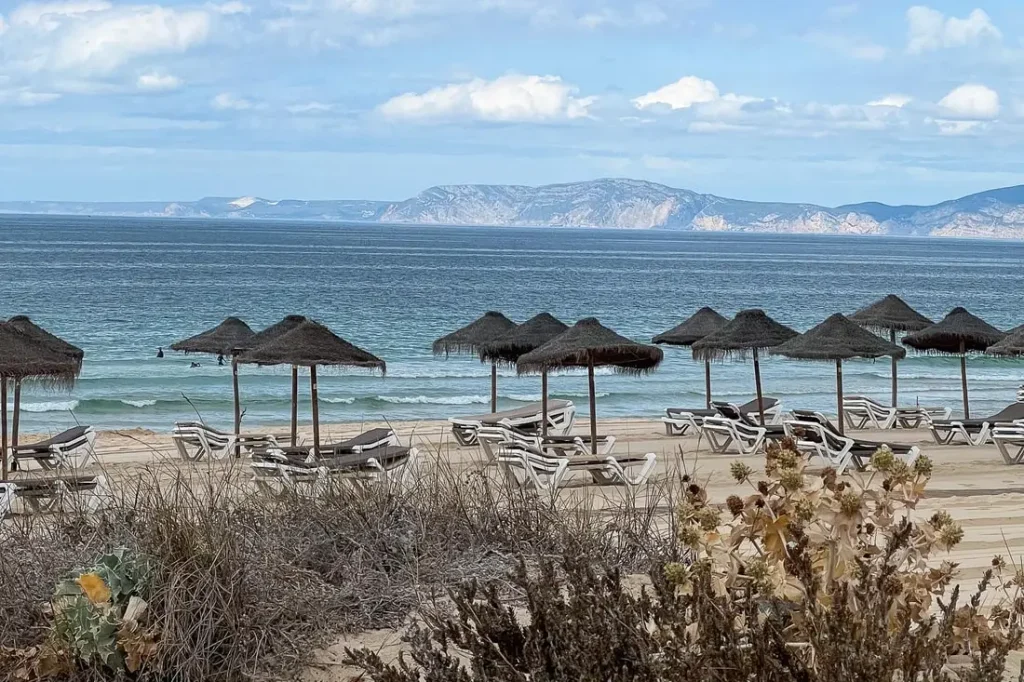 Comporta Origins Tour with a Local Guide – Comporta (2)