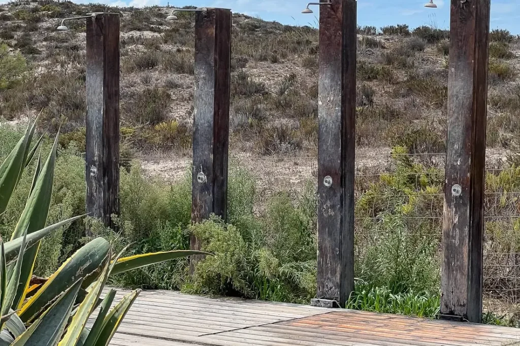 Comporta Origins Tour with a Local Guide – Comporta (3)
