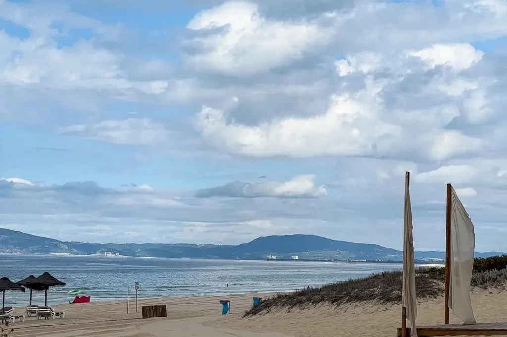 Comporta Origins Tour with a Local Guide – Comporta (4)