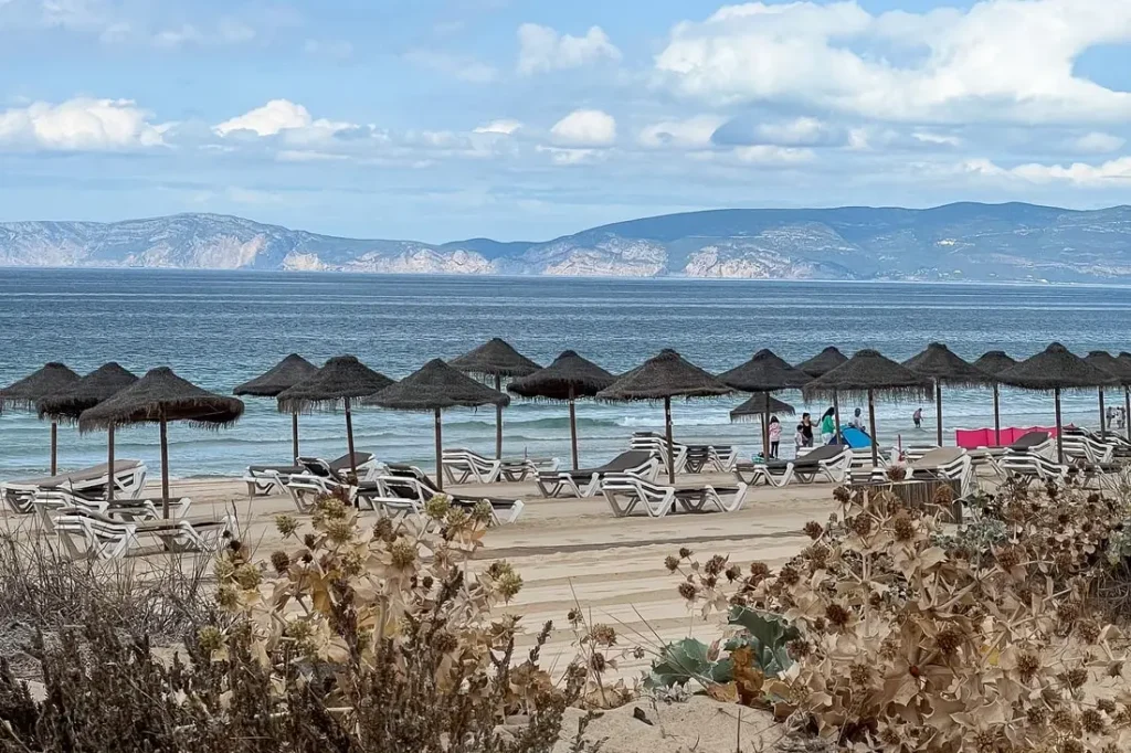 Comporta Origins Tour with a Local Guide – Comporta (5)