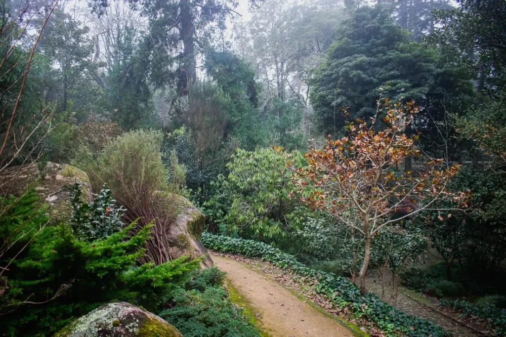 Sintra Moorish Castle Guided Tour – Sintra (5)