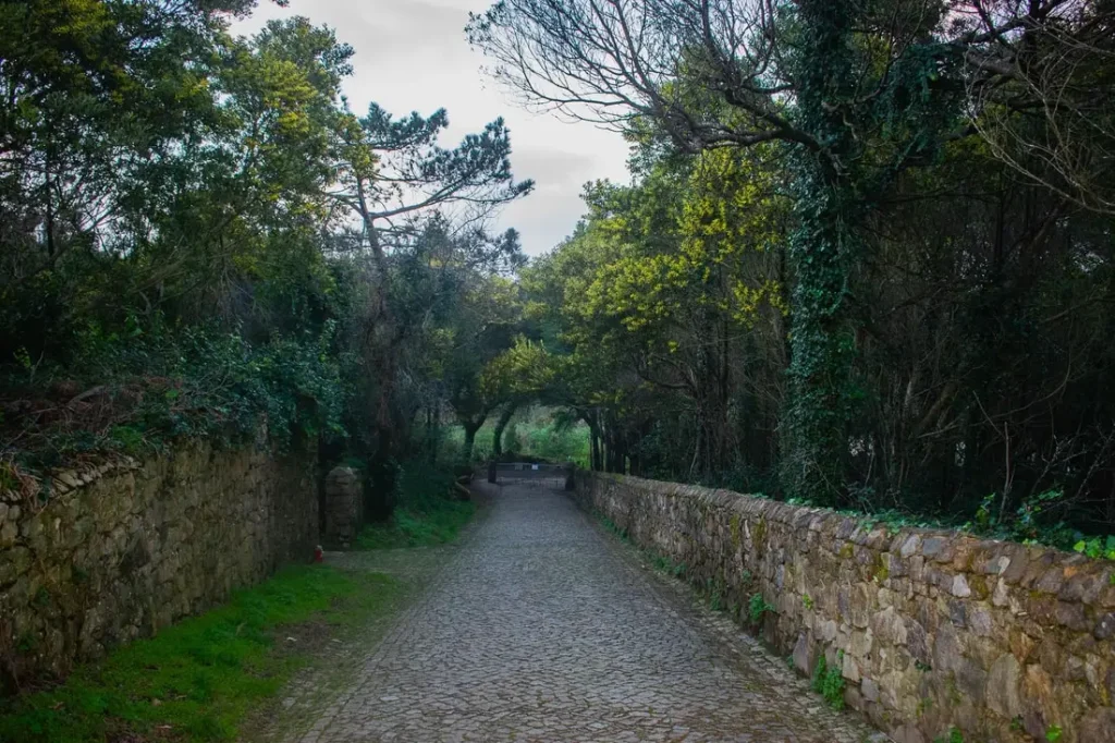 Peninha Walking Tour: Sintra’s Sacred Mountain – Peninha, Sintra (4)